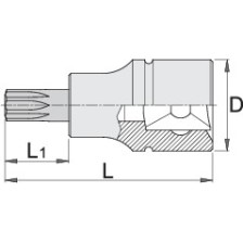 187/2TX-Vaso 1/4 con punta Torx-TX 40