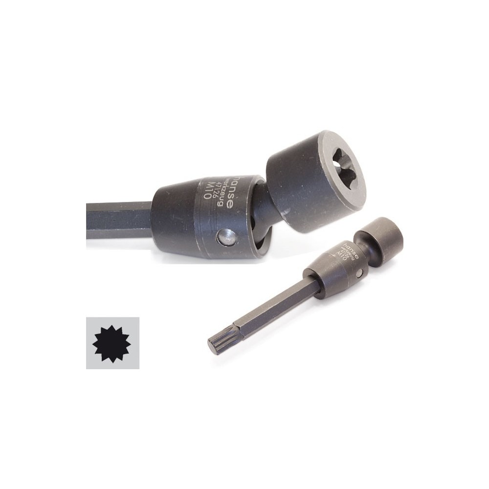 Llave de tubo con rótula de dientes múltiples M10 (XZN)