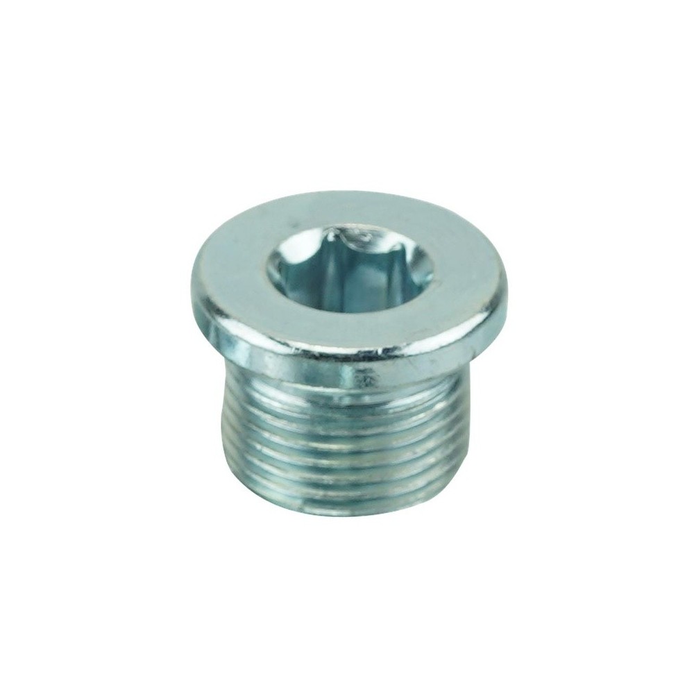 Tapón roscado M20 x 1,5 mm Hexágono interior 12 mm