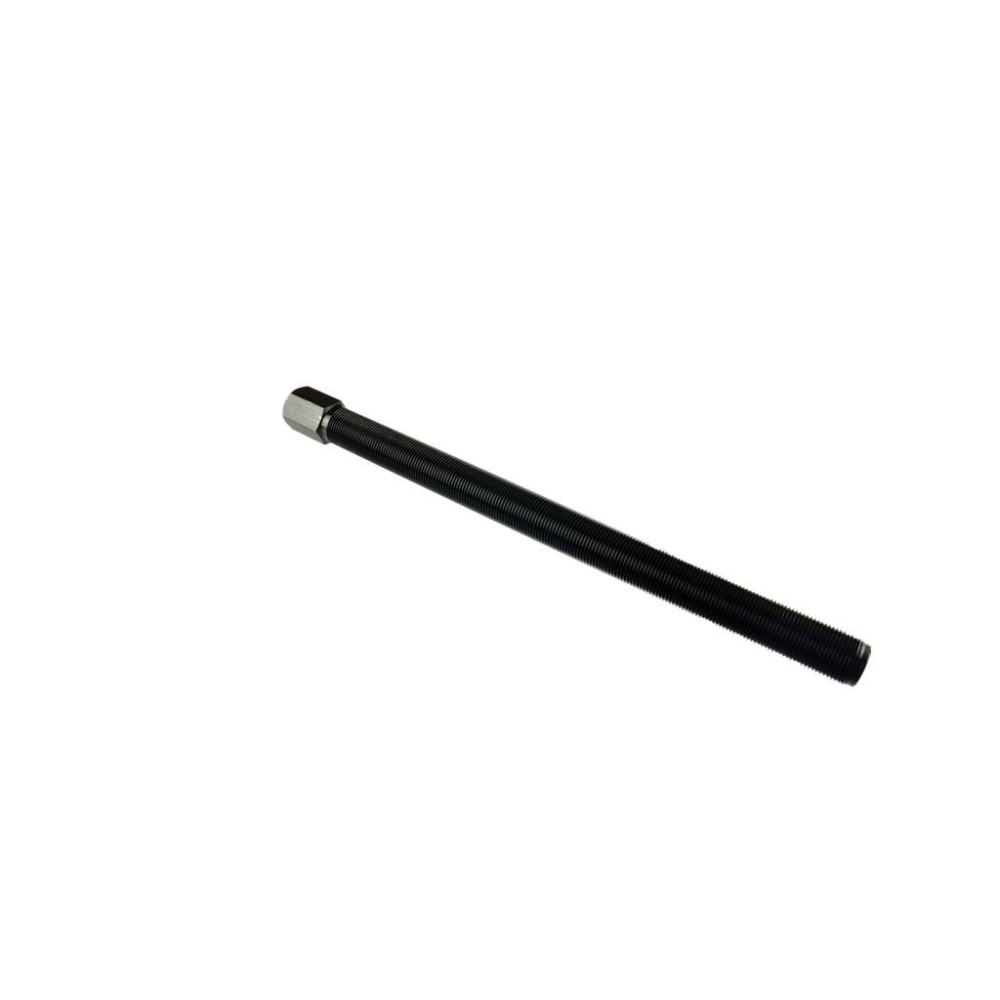 Husillo extractor M20x1,5x300