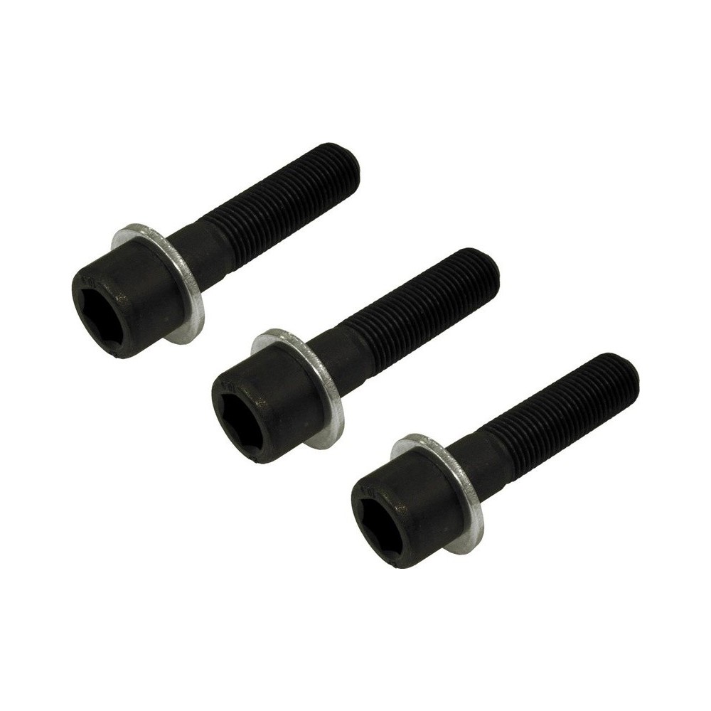 3 tornillos M14x1,5x60 10,9 con arandelas