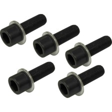 Tornillos de rueda de repuesto, juego de 5 piezas, M14 x 1,5, calidad 10.9, longitud 40 mm + arandela