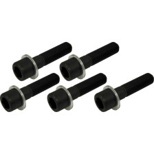 Tornillos de rueda de repuesto, juego de 5 piezas, M14 x 1,5, calidad 10.9, longitud 60 mm + arandela