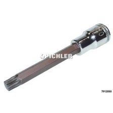 Vaso de punta XZN 1/2' M 5 x 60 mm