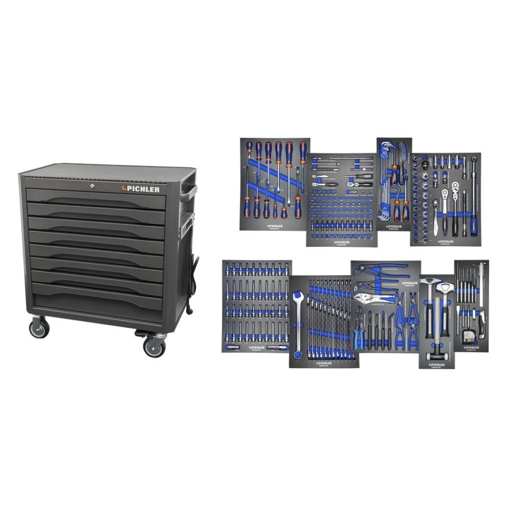 Armario de herramientas P36s, color NEGRO, incluye surtido de herramientas (250 piezas). 'Principiante'.