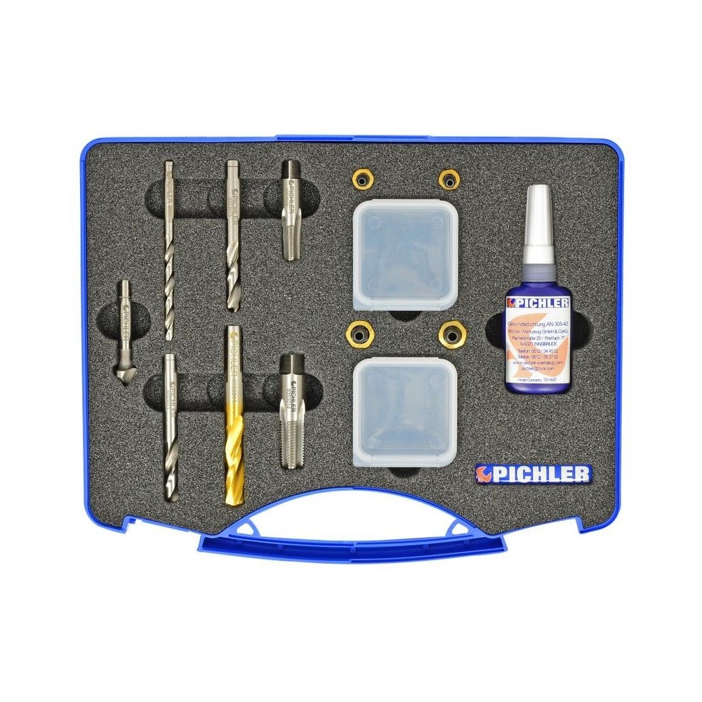 Kit de reparación de válvula de purga de pinza de freno (12 piezas, 1/4' y 1/8' NPT)