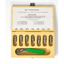 Juego de puntas con trinquete en estuche