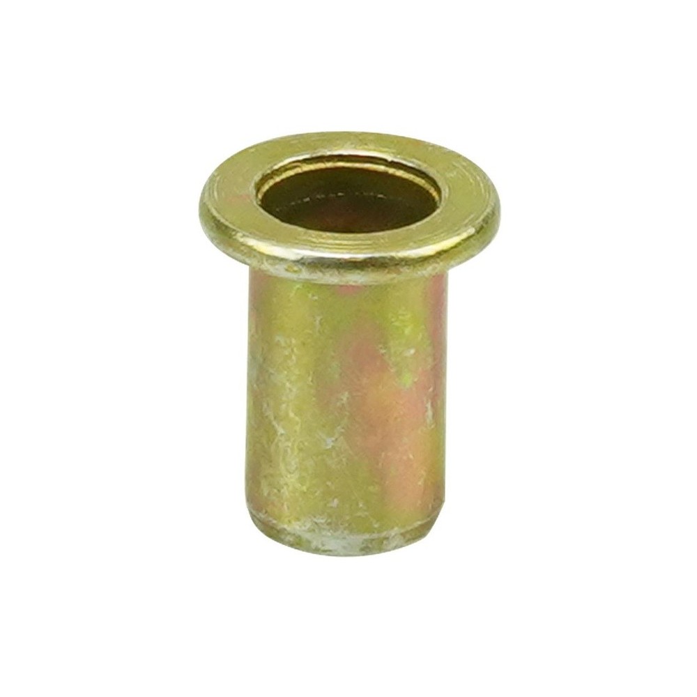 Remaches roscados M10, 100 piezas